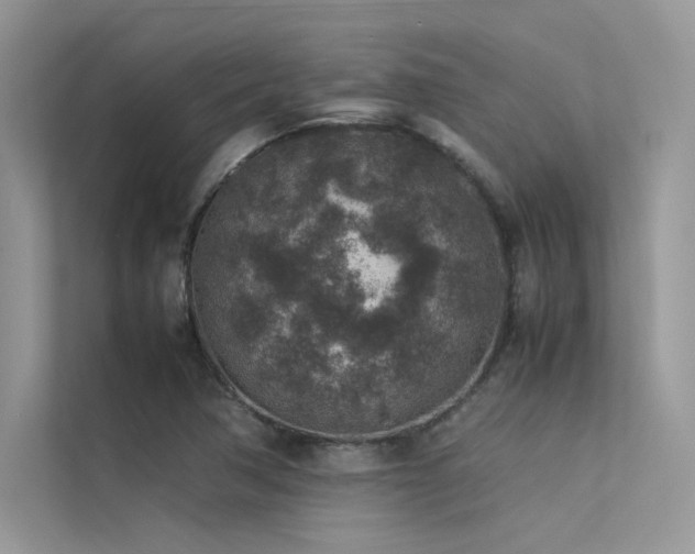 X0000113371362200909151351
