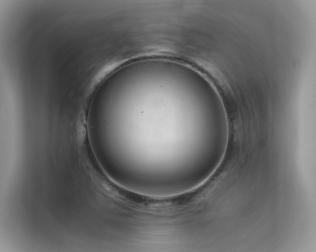 X0000113371363200909151351