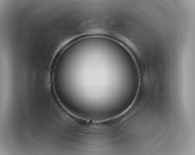 X0000113371364200909151351
