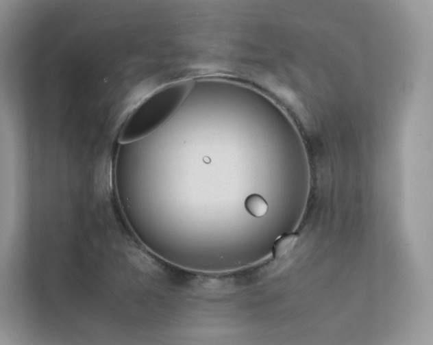 X0000113371365200909151351