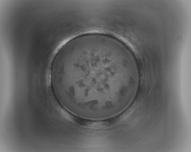 X0000113371367200909151351