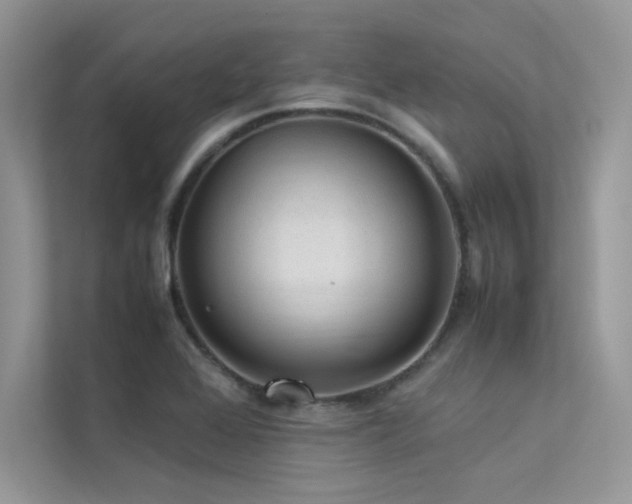 X0000113371368200909151351