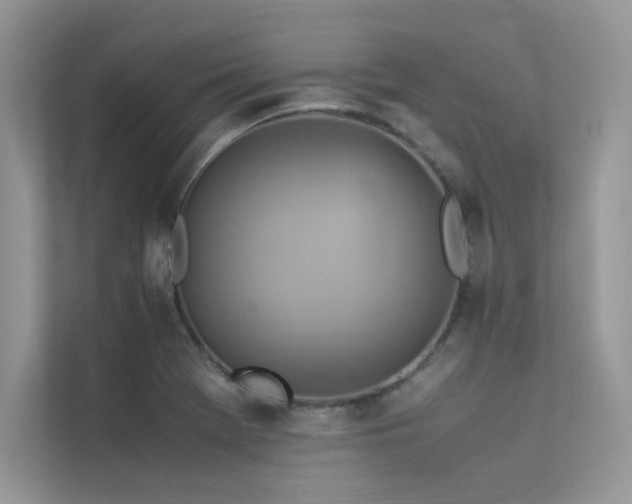 X0000113371369200909151351