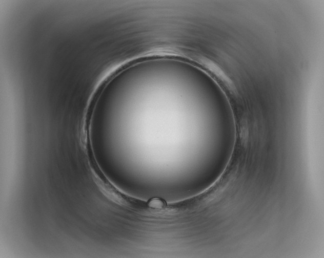 X0000113371372200909151351