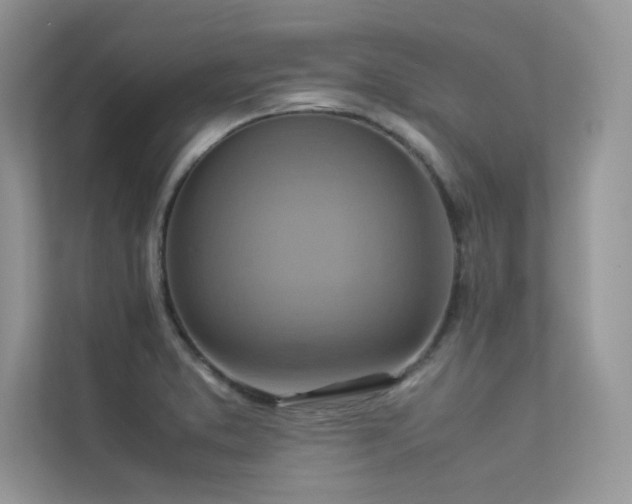 X0000113371373200909151351
