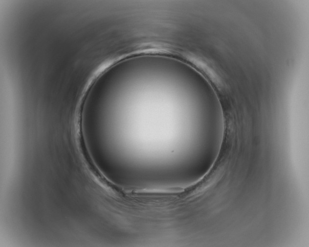 X0000113371375200909151351