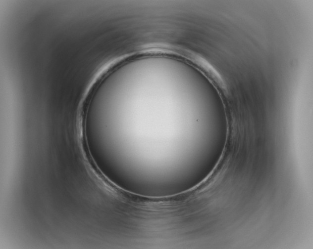 X0000113371376200909151351