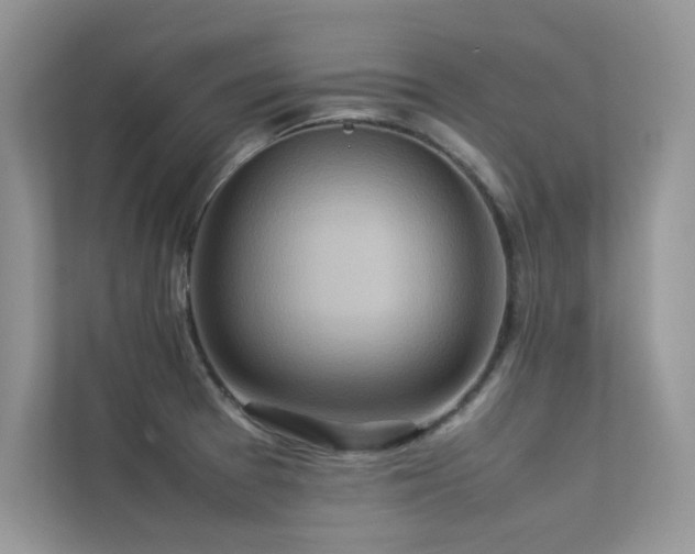 X0000113371377200909151351