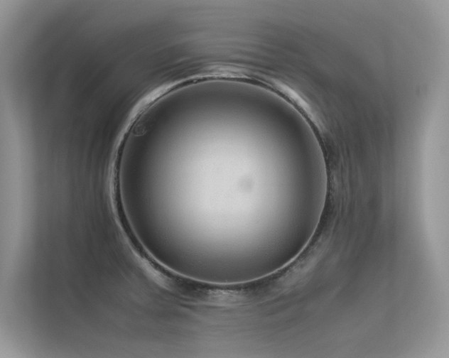 X0000113371379200909151351