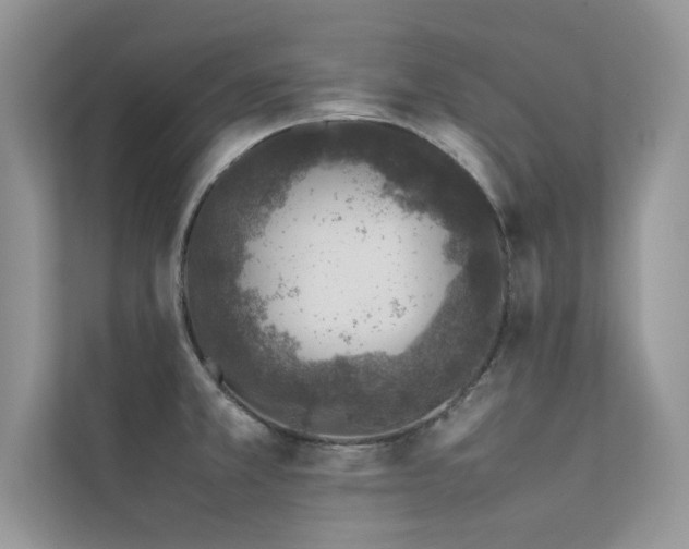 X0000113371381200909151351