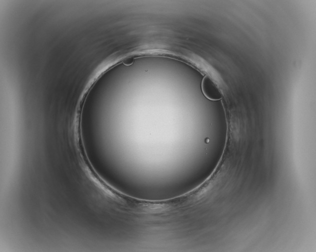 X0000113371382200909151351