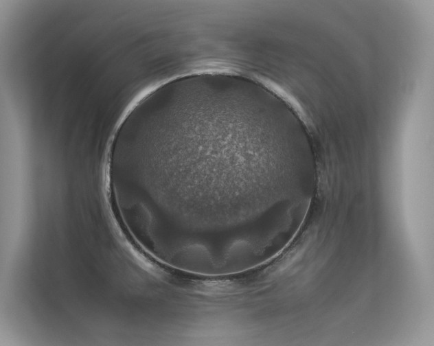 X0000113371383200909151351