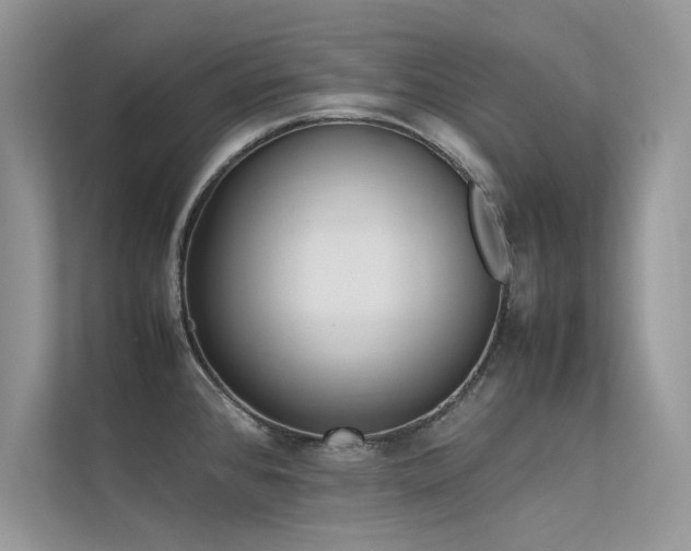 X0000113371384200909151351