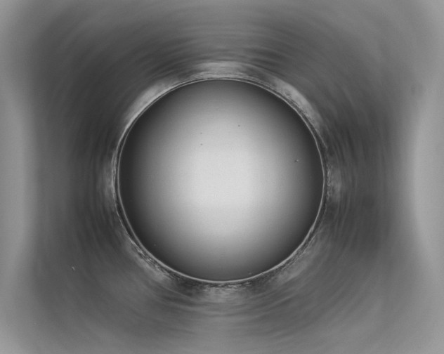 X0000113371386200909151350