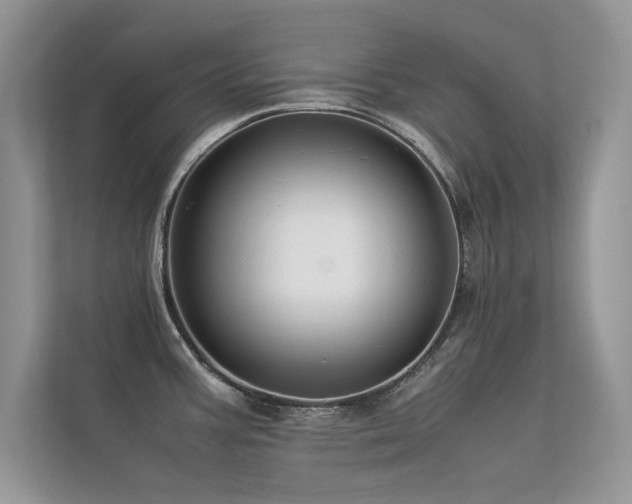X0000113371387200909151350