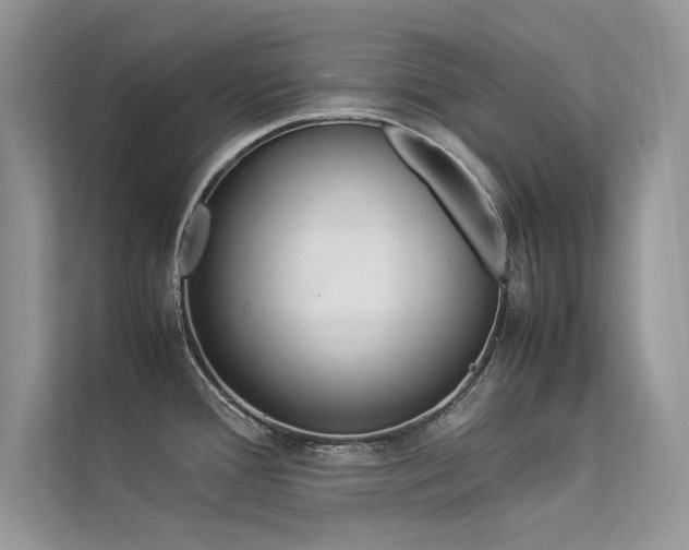 X0000113371388200909151350
