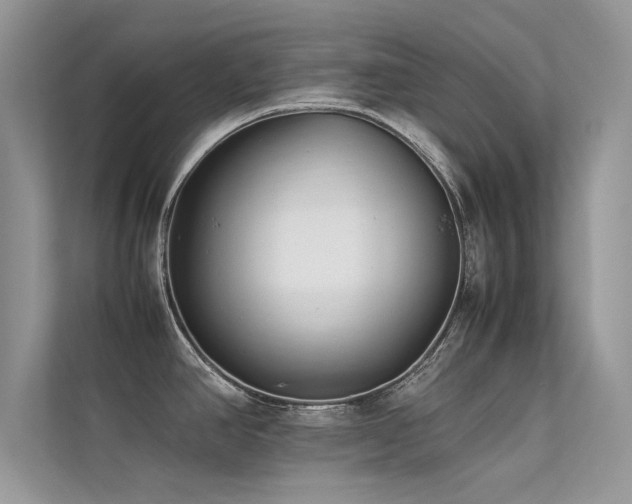 X0000113371390200909151350