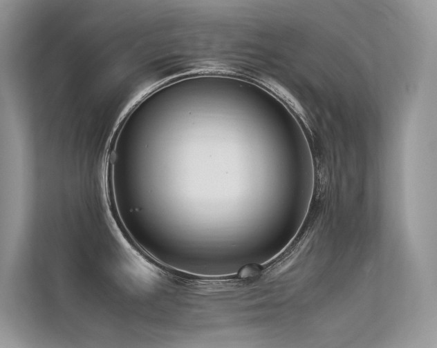 X0000113371391200909151350