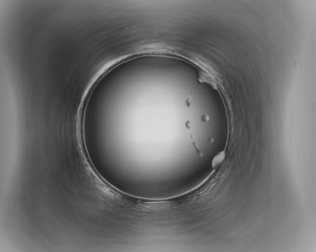 X0000113371392200909151350