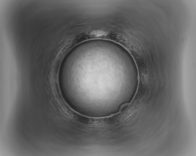 X0000113371393200909151350