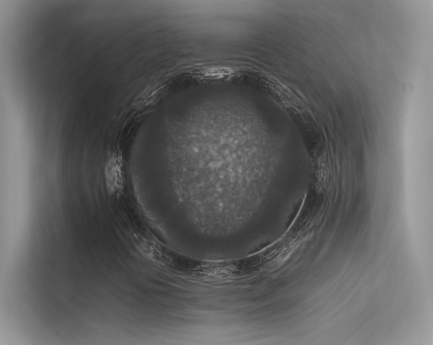 X0000113371394200909151350
