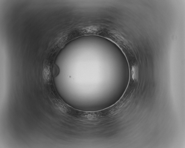 X0000113371395200909151350