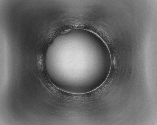 X0000113371396200909151350