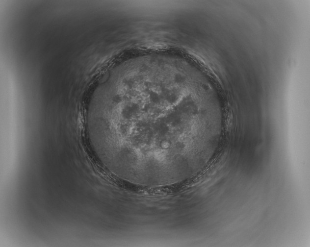 X0000113371397200909151350