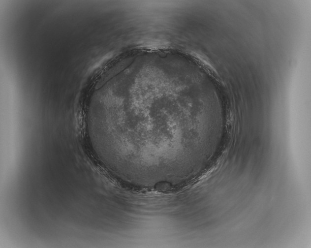 X0000113371398200909151350