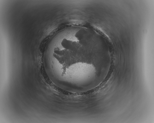 X0000113371399200909151350