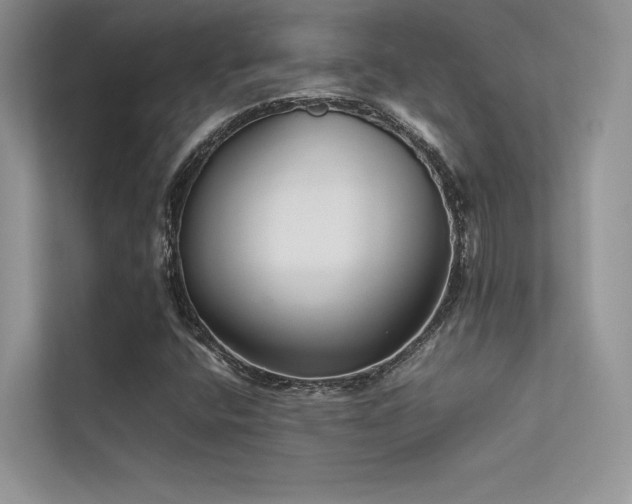 X0000113371400200909151350