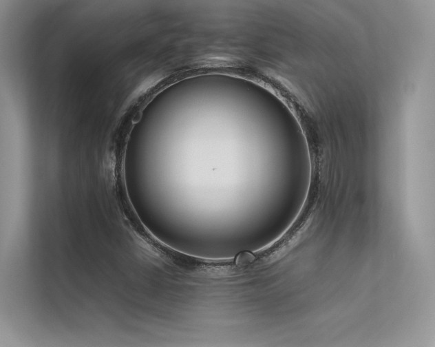 X0000113371402200909151350