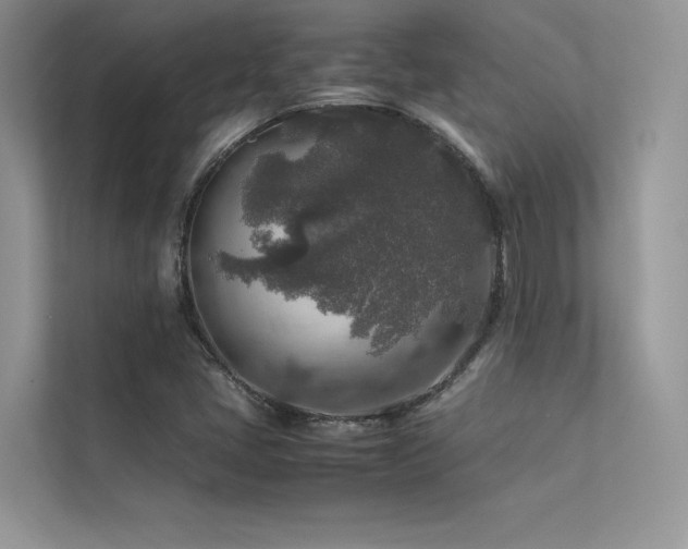 X0000113371405200909151350