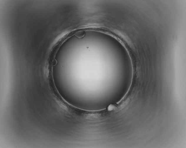 X0000113371406200909151350