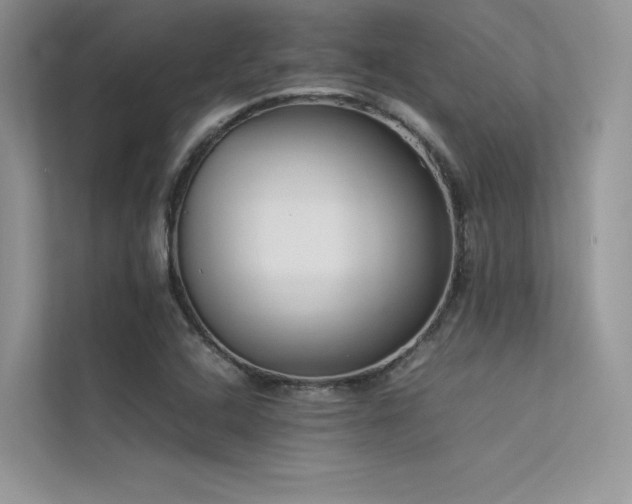 X0000113371408200909151350