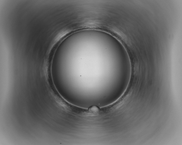 X0000113371410200909151350