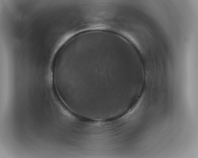 X0000113371414200909151350