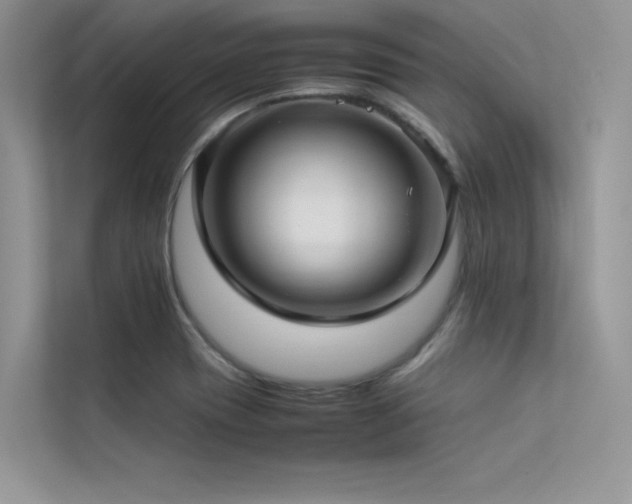 X0000113371417200909151350