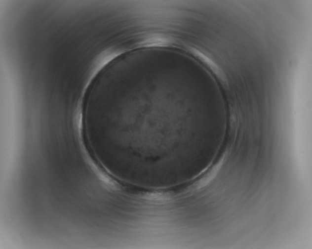 X0000113371418200909151350