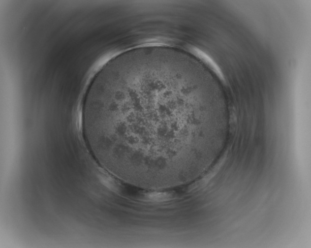 X0000113371419200909151350