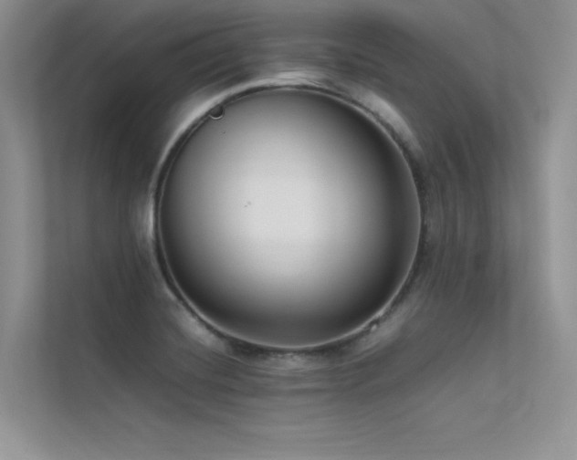 X0000113371420200909151350
