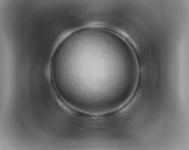 X0000113371421200909151350