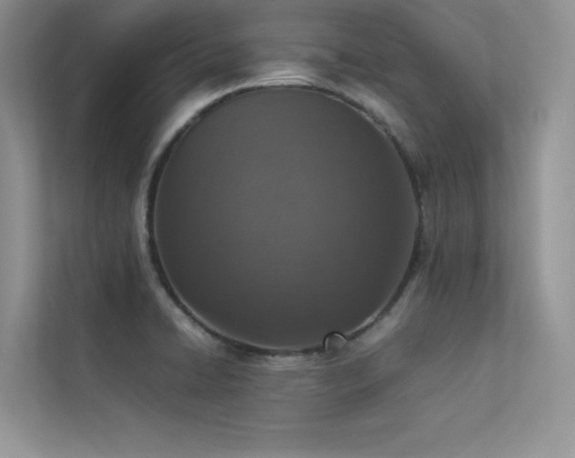 X0000113371422200909151350