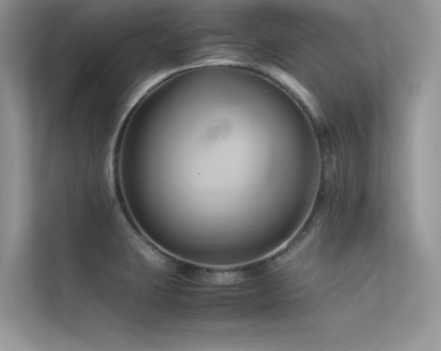 X0000113371423200909151350