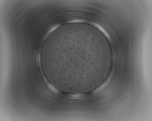 X0000113371425200909151350