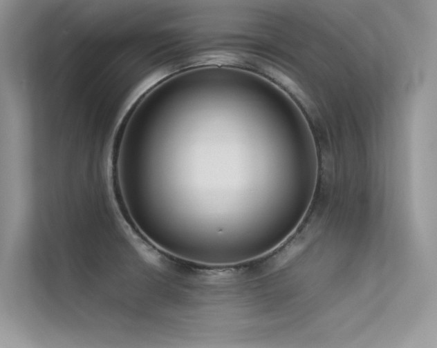 X0000113371426200909151350