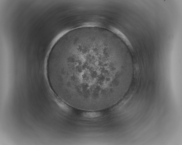 X0000113371427200909151350