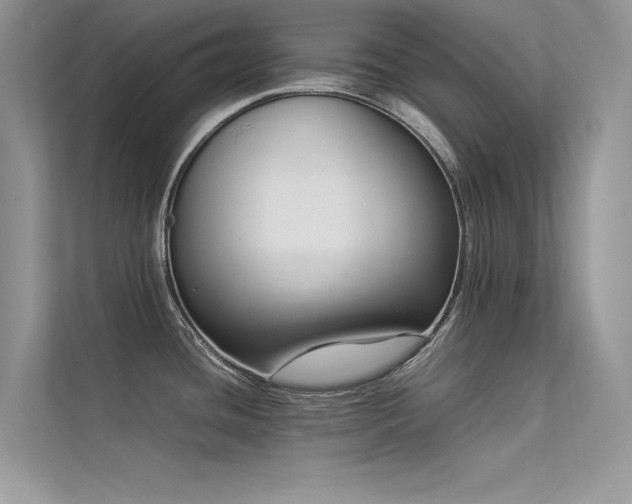 X0000113371436200909151350