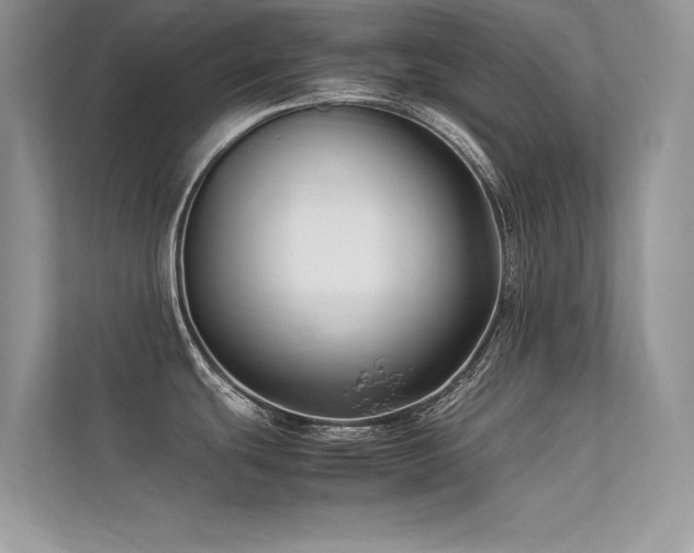 X0000113371439200909151350