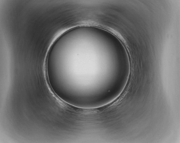X0000113371440200909151350